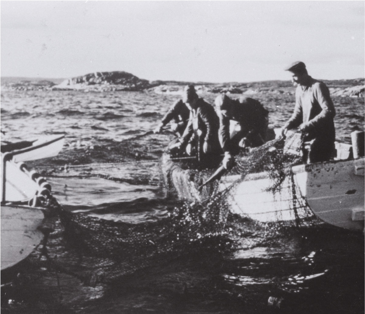 Photo : Archives nationales à Sept-Îles, Fonds Groupe d'action et de développement économique et culturel de la Basse Côte-Nord (P12, S2, P215)